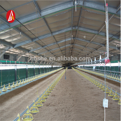 Kenya poultry chicken farm shed layer poultry farming